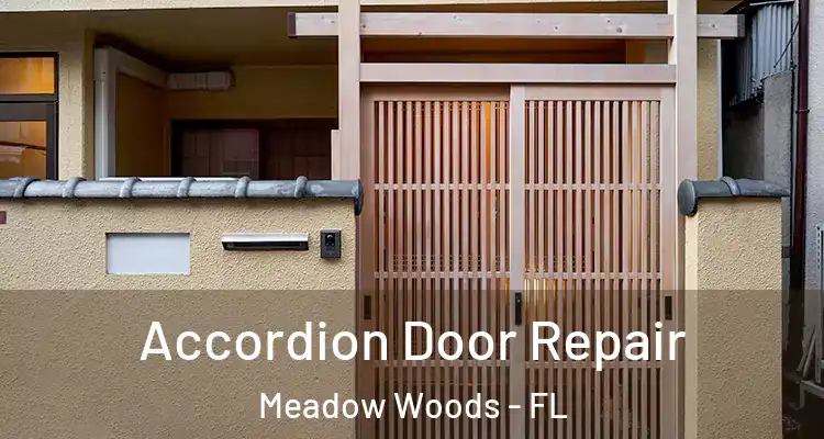  Accordion Door Repair Meadow Woods - FL