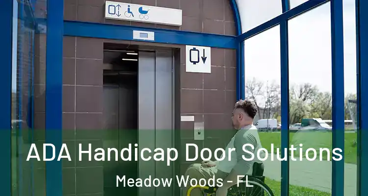  ADA Handicap Door Solutions Meadow Woods - FL