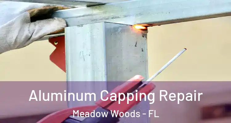  Aluminum Capping Repair Meadow Woods - FL