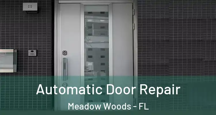  Automatic Door Repair Meadow Woods - FL