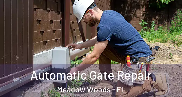  Automatic Gate Repair Meadow Woods - FL