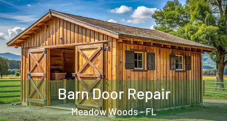  Barn Door Repair Meadow Woods - FL
