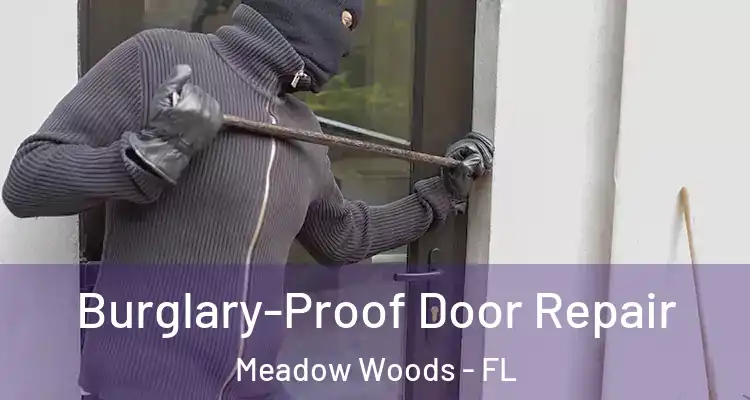  Burglary-Proof Door Repair Meadow Woods - FL