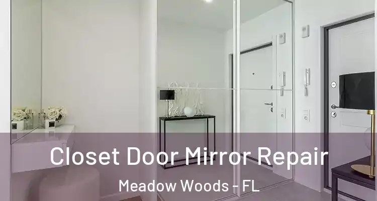  Closet Door Mirror Repair Meadow Woods - FL