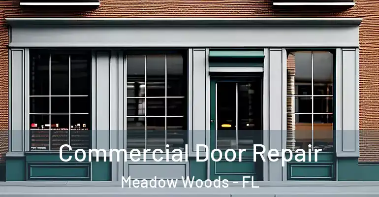  Commercial Door Repair Meadow Woods - FL