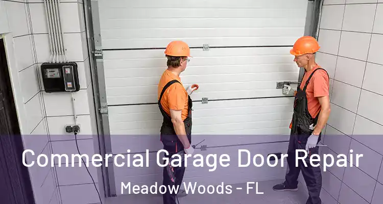 Commercial Garage Door Repair Meadow Woods - FL