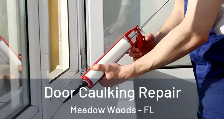  Door Caulking Repair Meadow Woods - FL