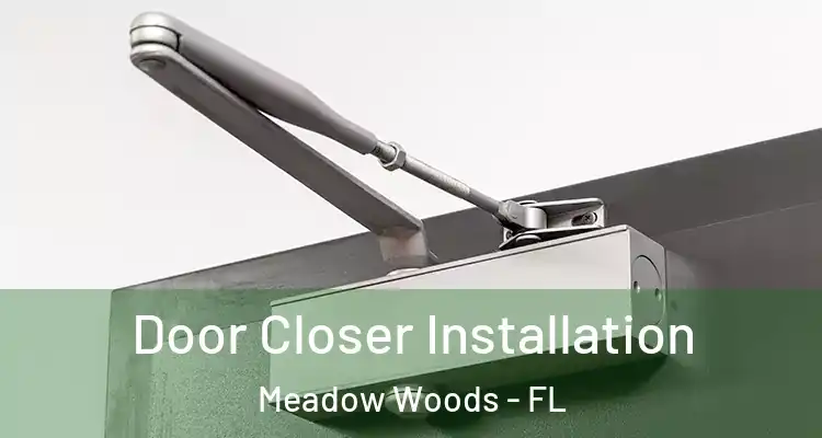  Door Closer Installation Meadow Woods - FL