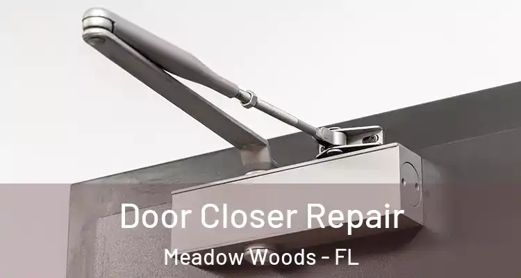  Door Closer Repair Meadow Woods - FL