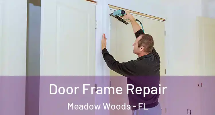  Door Frame Repair Meadow Woods - FL