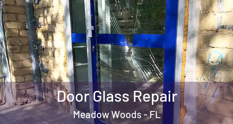 Door Glass Repair Meadow Woods - FL