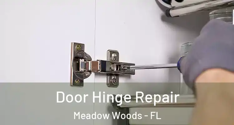  Door Hinge Repair Meadow Woods - FL