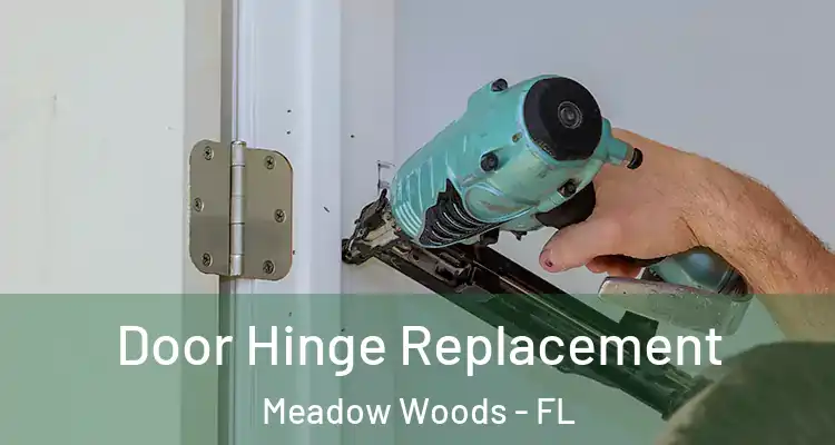  Door Hinge Replacement Meadow Woods - FL