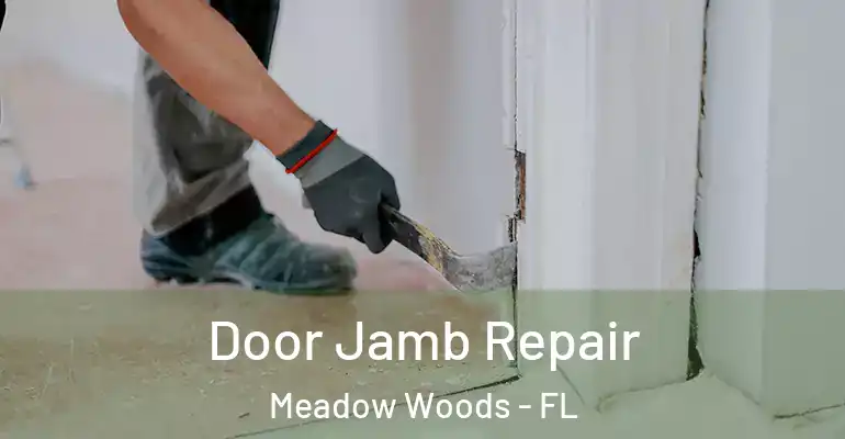  Door Jamb Repair Meadow Woods - FL