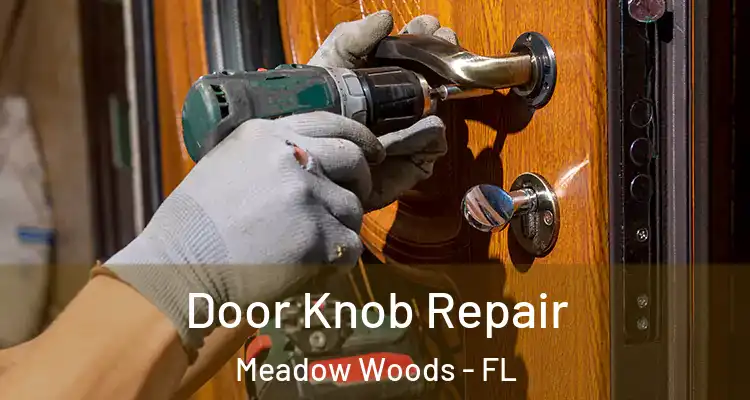  Door Knob Repair Meadow Woods - FL