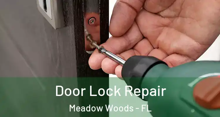  Door Lock Repair Meadow Woods - FL