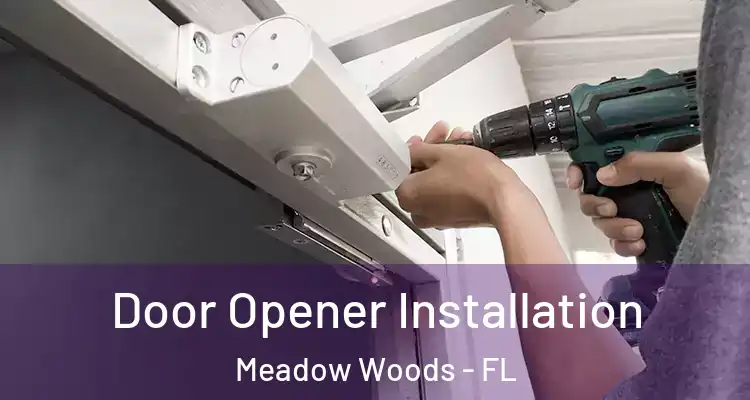  Door Opener Installation Meadow Woods - FL