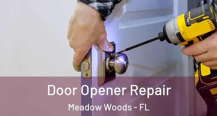  Door Opener Repair Meadow Woods - FL