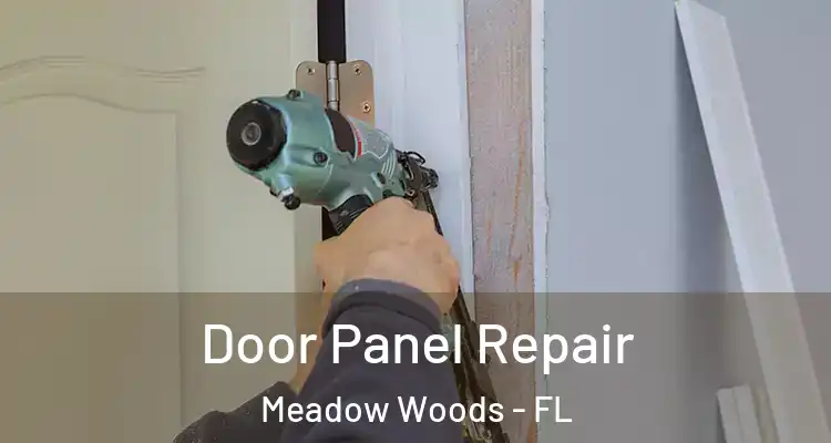  Door Panel Repair Meadow Woods - FL