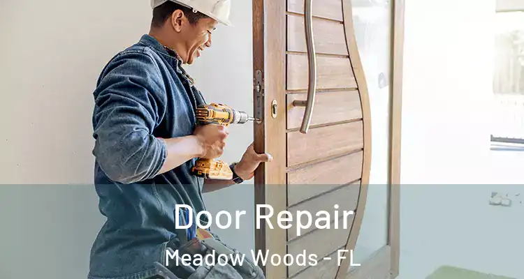  Door Repair Meadow Woods - FL