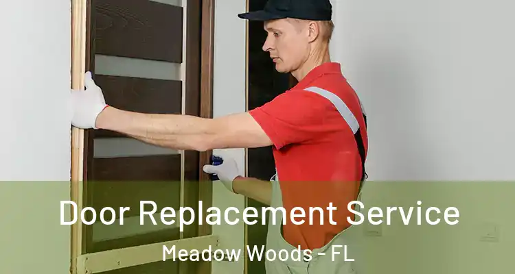  Door Replacement Service Meadow Woods - FL