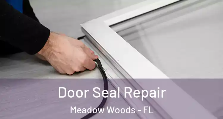 Door Seal Repair Meadow Woods - FL