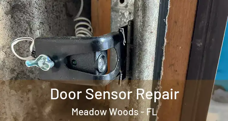  Door Sensor Repair Meadow Woods - FL
