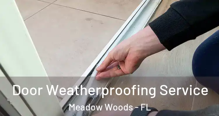  Door Weatherproofing Service Meadow Woods - FL