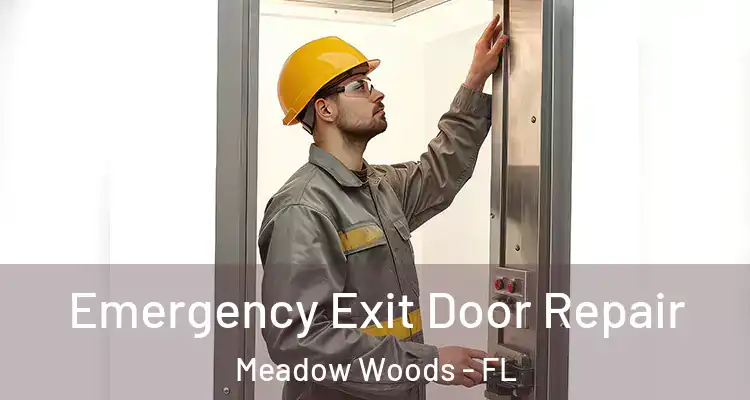  Emergency Exit Door Repair Meadow Woods - FL