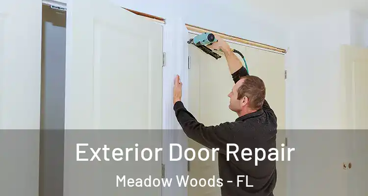  Exterior Door Repair Meadow Woods - FL