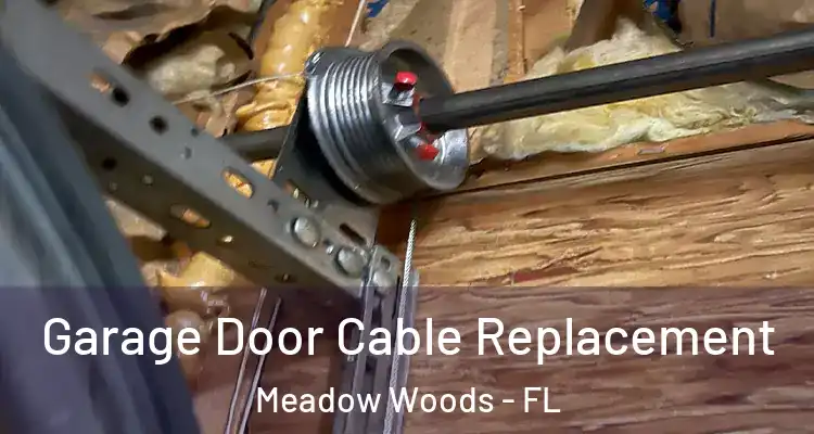  Garage Door Cable Replacement Meadow Woods - FL