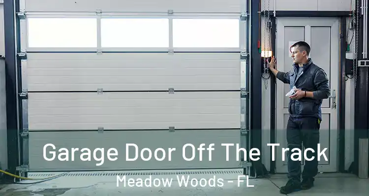  Garage Door Off The Track Meadow Woods - FL
