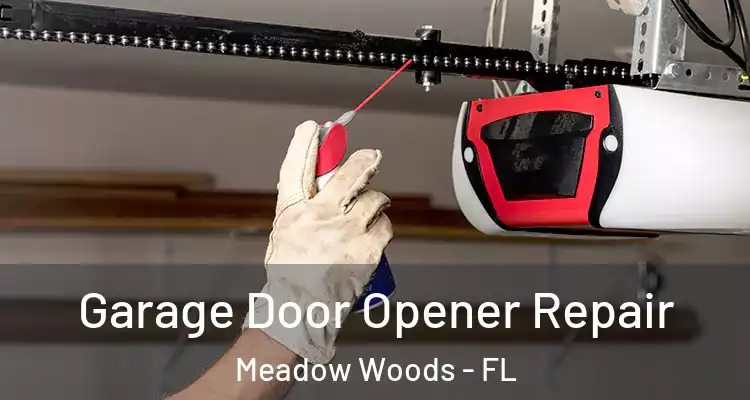  Garage Door Opener Repair Meadow Woods - FL