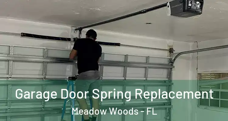  Garage Door Spring Replacement Meadow Woods - FL