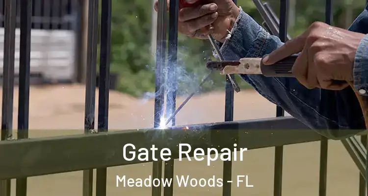  Gate Repair Meadow Woods - FL