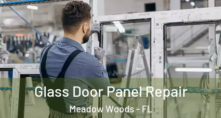  Glass Door Panel Repair Meadow Woods - FL
