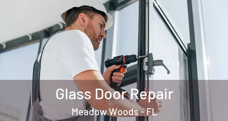  Glass Door Repair Meadow Woods - FL