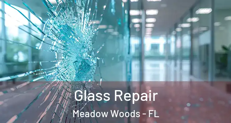  Glass Repair Meadow Woods - FL
