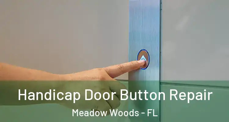  Handicap Door Button Repair Meadow Woods - FL