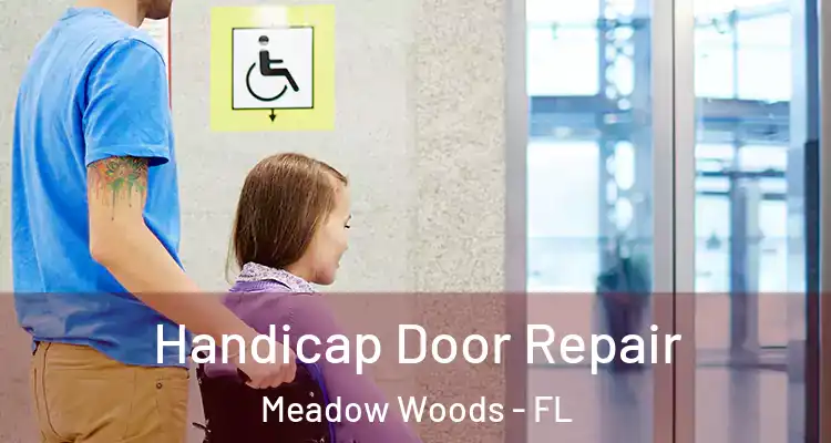  Handicap Door Repair Meadow Woods - FL