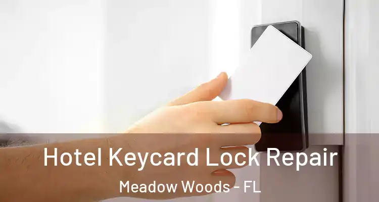  Hotel Keycard Lock Repair Meadow Woods - FL