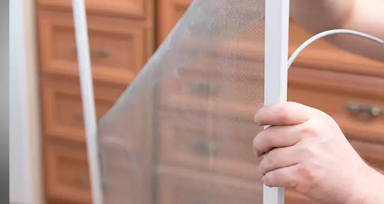 Privacy Mesh Screen Door Installation in Meadow Woods, FL