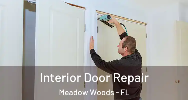  Interior Door Repair Meadow Woods - FL