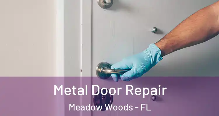  Metal Door Repair Meadow Woods - FL
