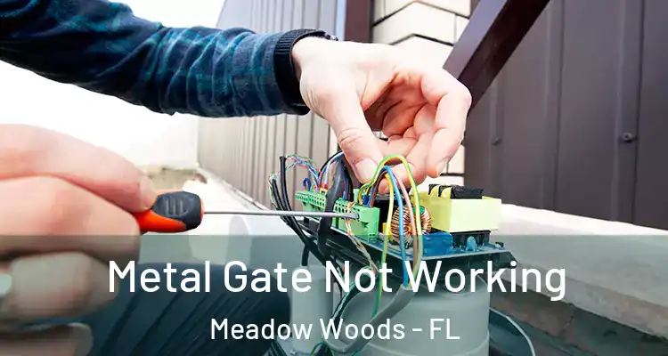  Metal Gate Not Working Meadow Woods - FL