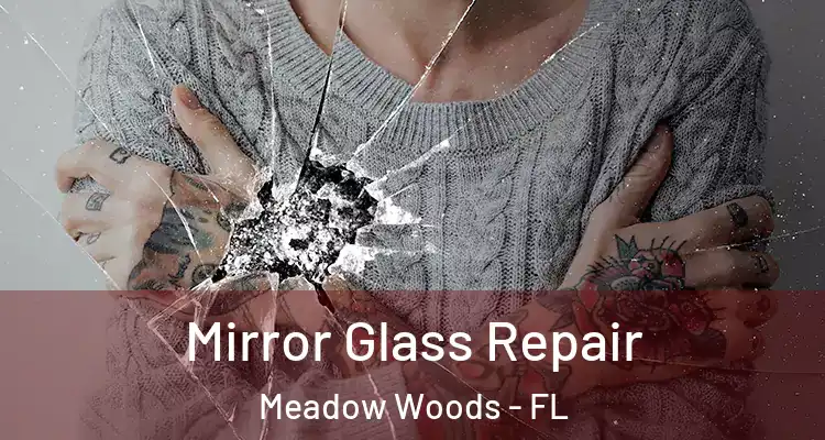  Mirror Glass Repair Meadow Woods - FL