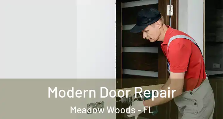  Modern Door Repair Meadow Woods - FL