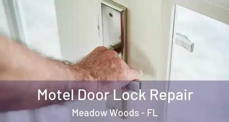  Motel Door Lock Repair Meadow Woods - FL