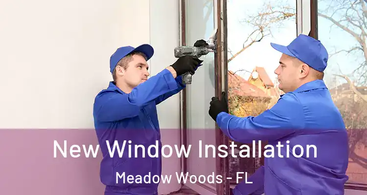  New Window Installation Meadow Woods - FL