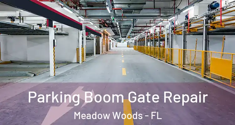  Parking Boom Gate Repair Meadow Woods - FL